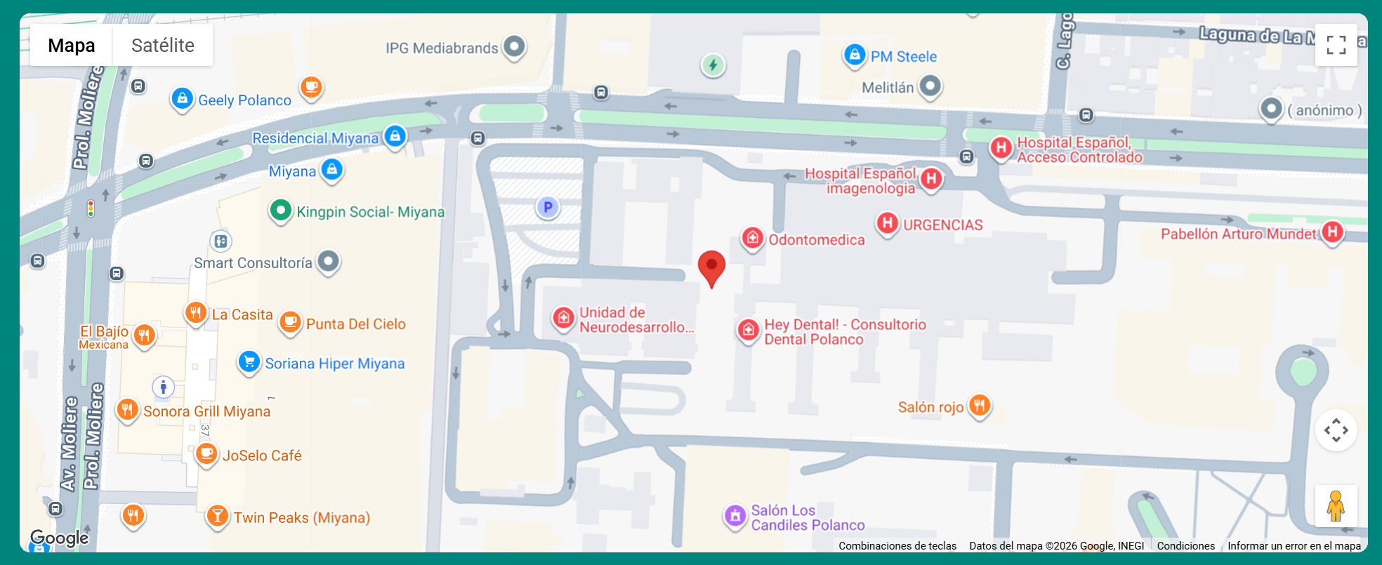 Paso 9 — Pin en el mapa